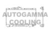 AUTOGAMMA 101011 Radiator, engine cooling